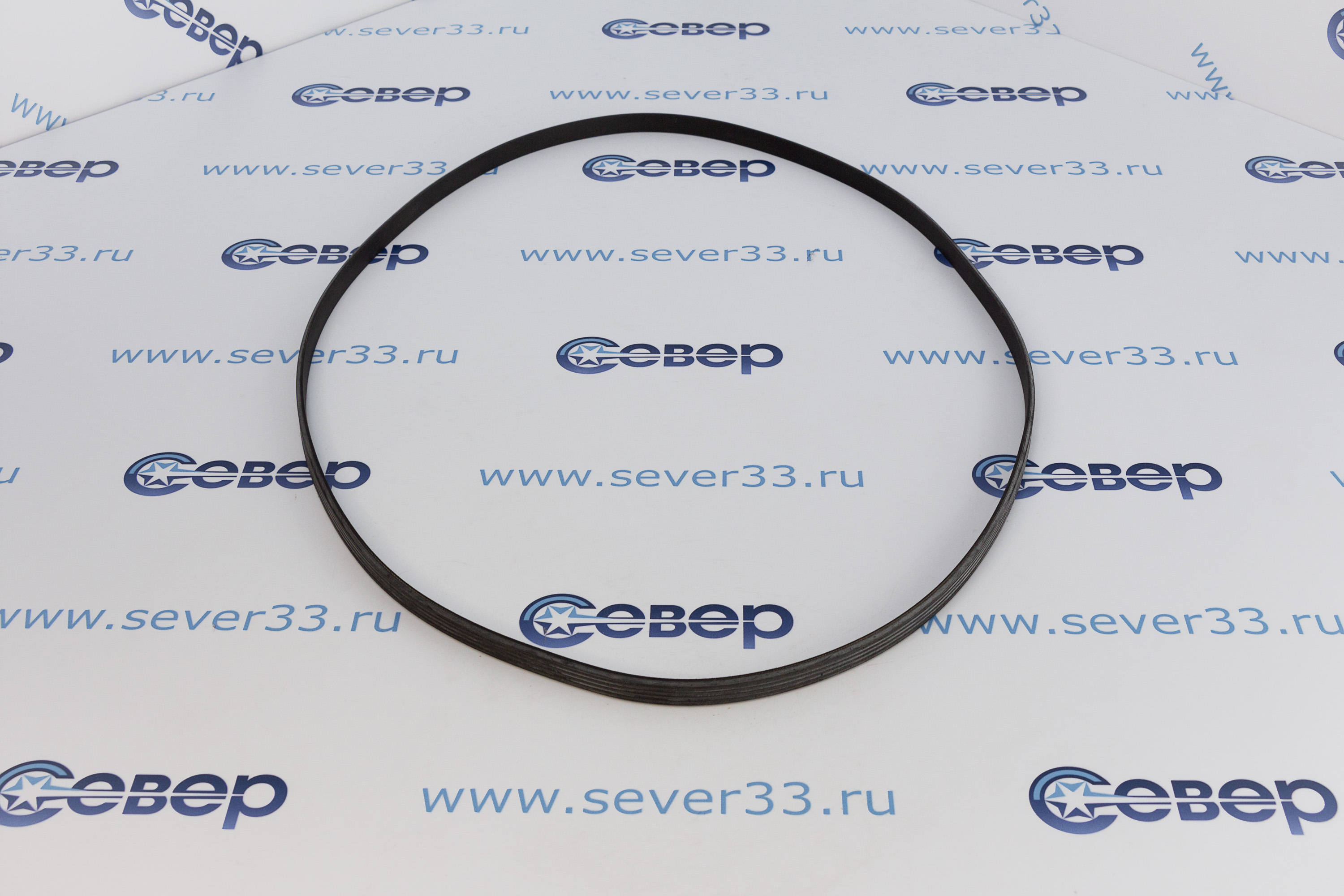 Ремень 1321J5EL 116LG223_3