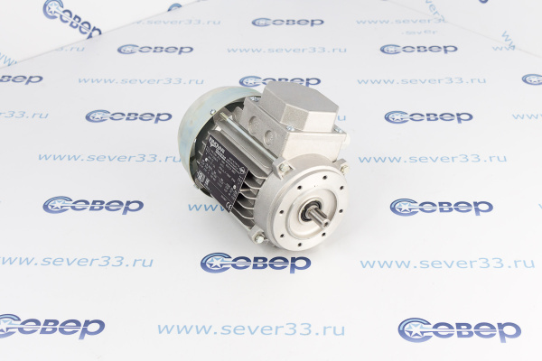 Электродвигатель МТ63М KW 0.184 B14 033723-5883 Италия_3