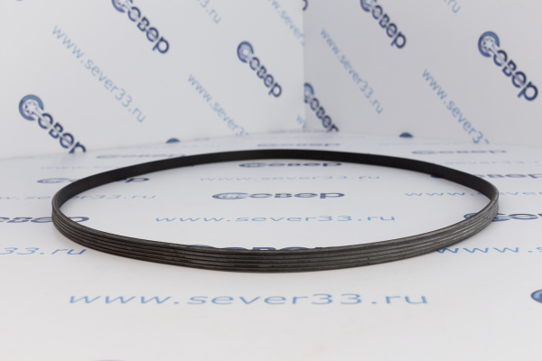 Ремень 1321J5EL 116LG223_2