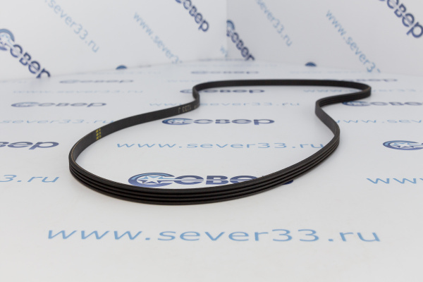 Ремень 1233 J4_3