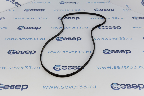 Ремень 1233 J4_4